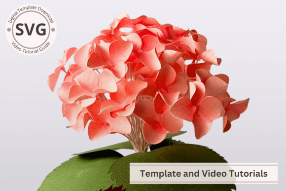 Paper Flower Hydrangea 3D SVG Template Review